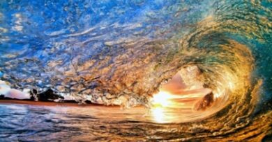 nature066s