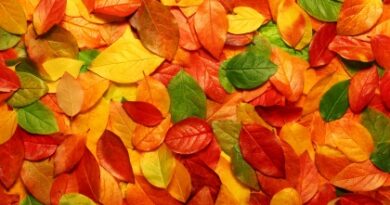 nature067