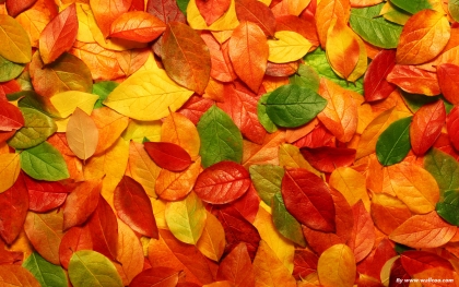 nature067