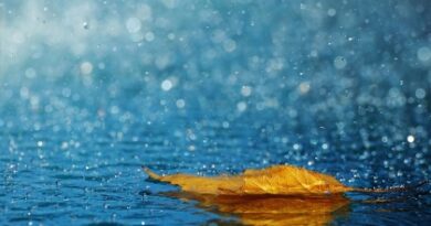 nature070