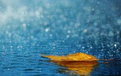 nature070