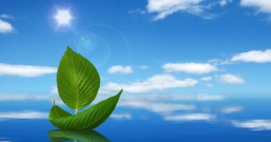 nature072