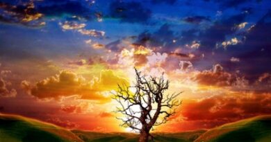 Nature086