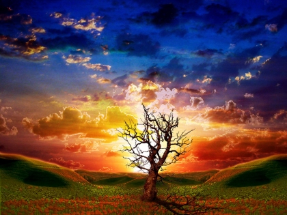 Nature086