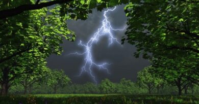 Nature088