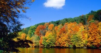 Nature092