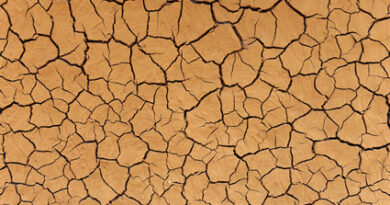 dry-cracked-land-UG