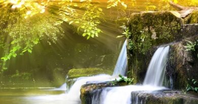 nature073