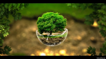 nature078