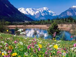 nature083