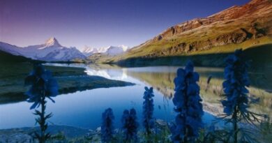 nature084