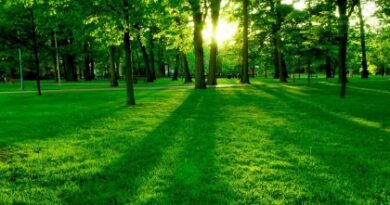 nature090