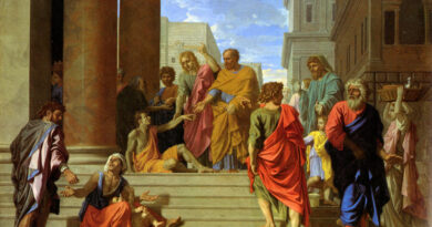 peter-john-heal