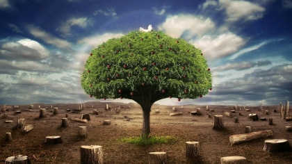 Nature100