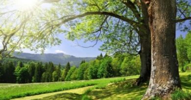 Nature101-s