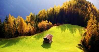 Nature105