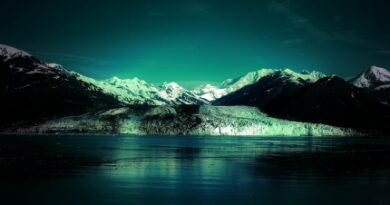 Nature108