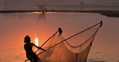 fisherman-and-his-net