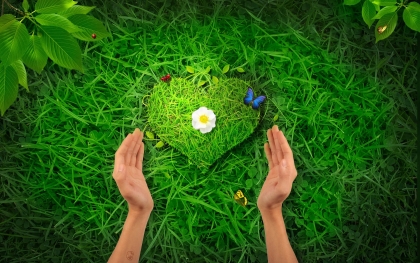 nature103