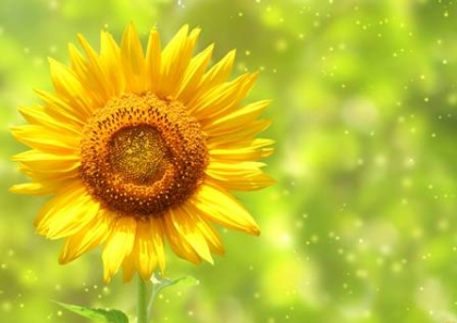nature111-s