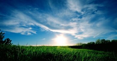 nature119