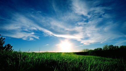 nature119