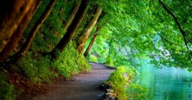 nature121-s