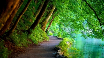 nature121-s
