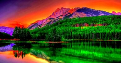 nature126