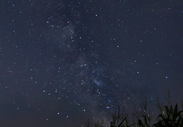 stars