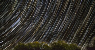 star-gazing