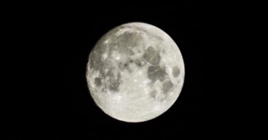 moon-by-samuel