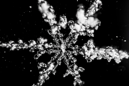 snow-shape