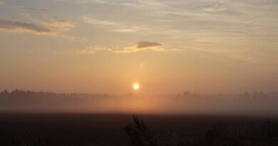 sunrise012