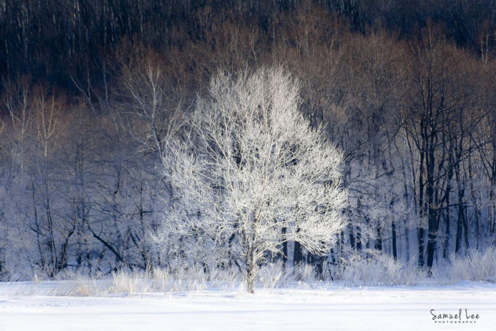 hokkaido006