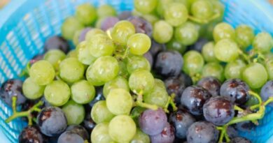 grapes001