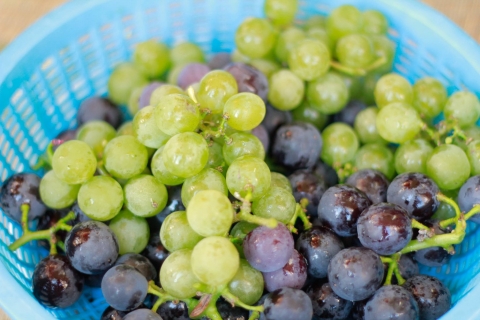 grapes001