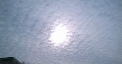 IMAG2348