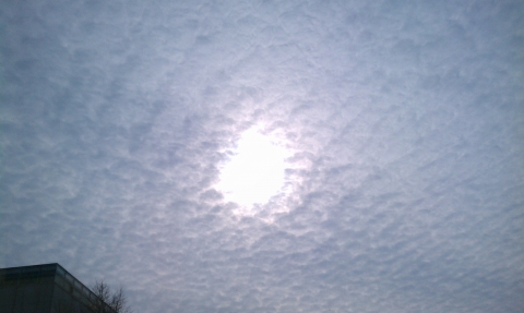 IMAG2348