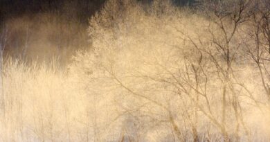 2015-01-29-0051s