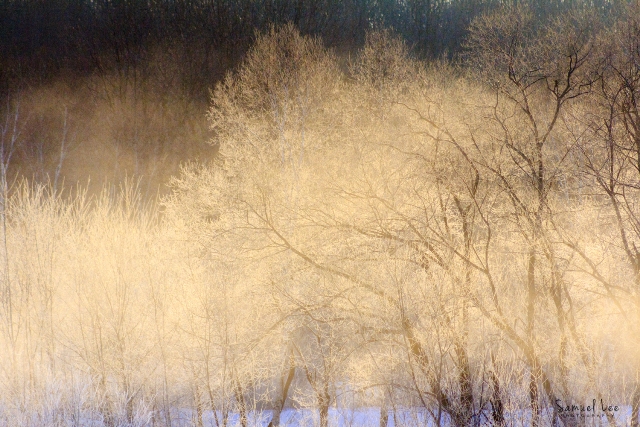 2015-01-29-0051s