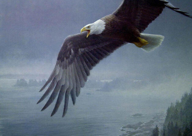 eagle1
